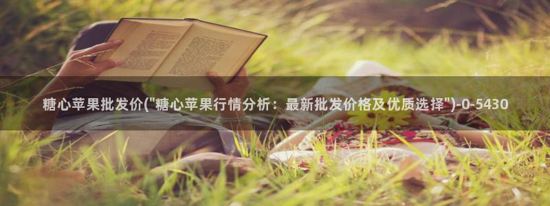 糖心vlog小二