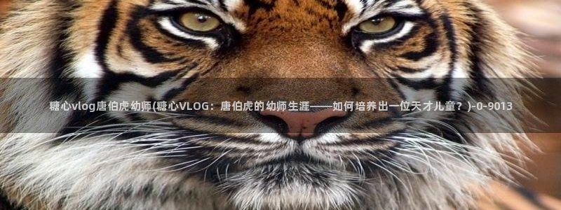 糖心vlog是啥