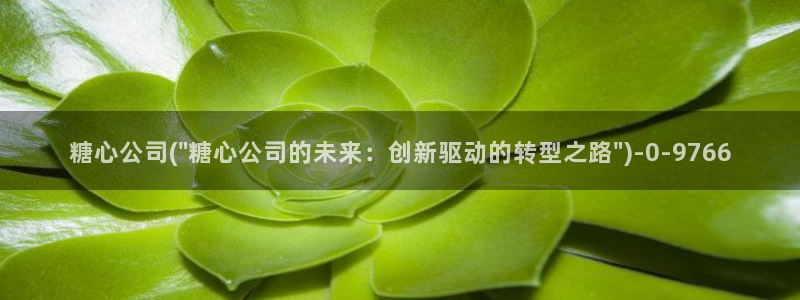 糖心vlog版