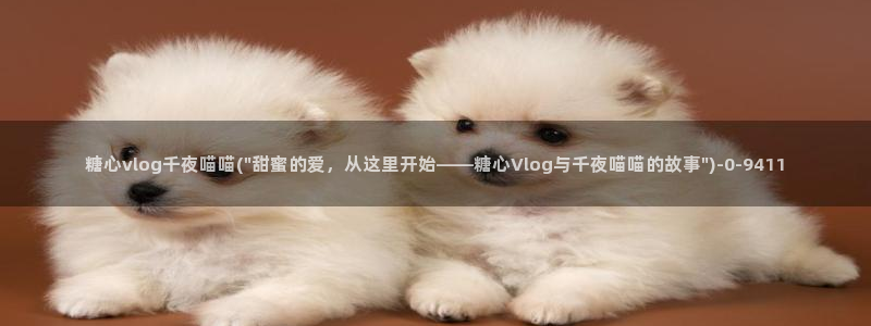 糖心vlog进入