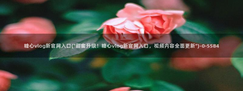糖心vlog扣扣传媒粉色