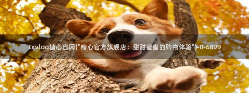 心糖vlog怎么下载