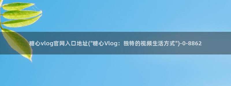 糖心vlog新入口