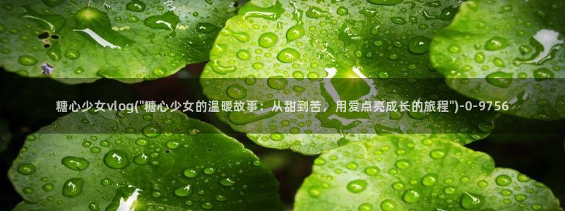糖心传媒vlog