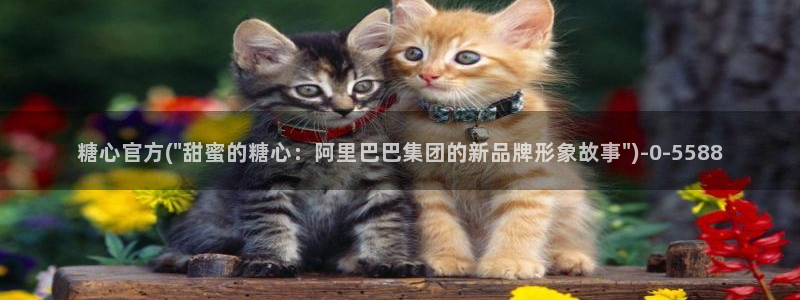 糖心vlog在线看