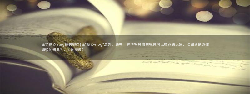 糖心vlog榨汁姬